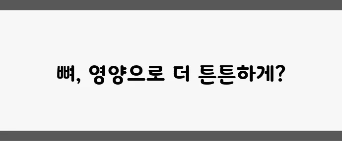 뼈 잘붙는 음식 (골절 회복에 도움되는 식단 가이드)