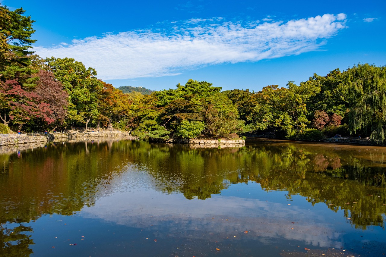 한국 드라마 철인 왕후 관련 사진