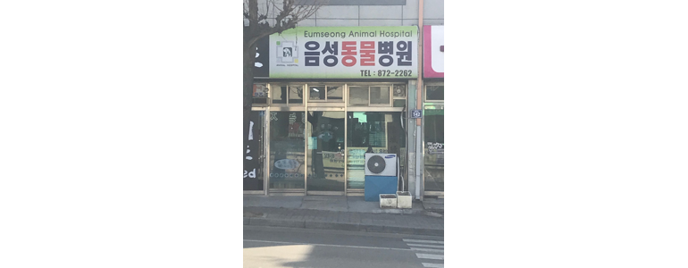 음성군 동물병원