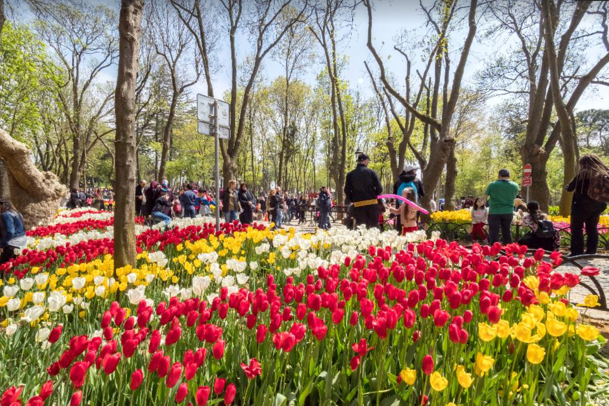 세계봄꽃여행지