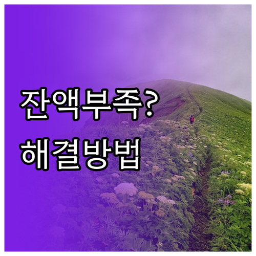 잔액 부족 이제 그만! 버스카드 충전..
