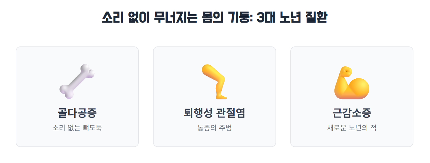 3대 노년질환을 그림으로 보여줌