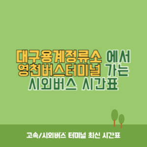 대구용계정류소에서 영천버스터미널 가는 시외버스 시간표 최신정보