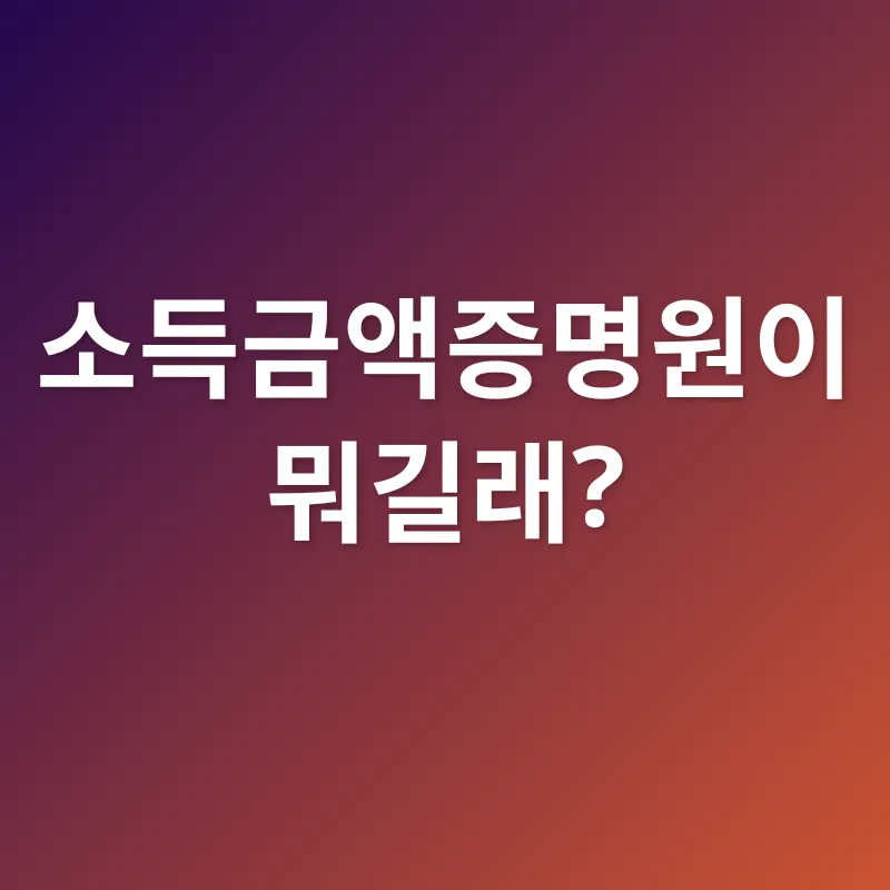소득금액증명원_1