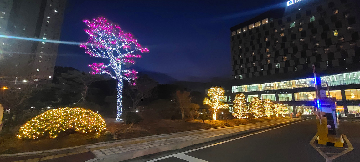 태안 빛축제 맛집 근처숙박 주차 꿀팁 총정리
