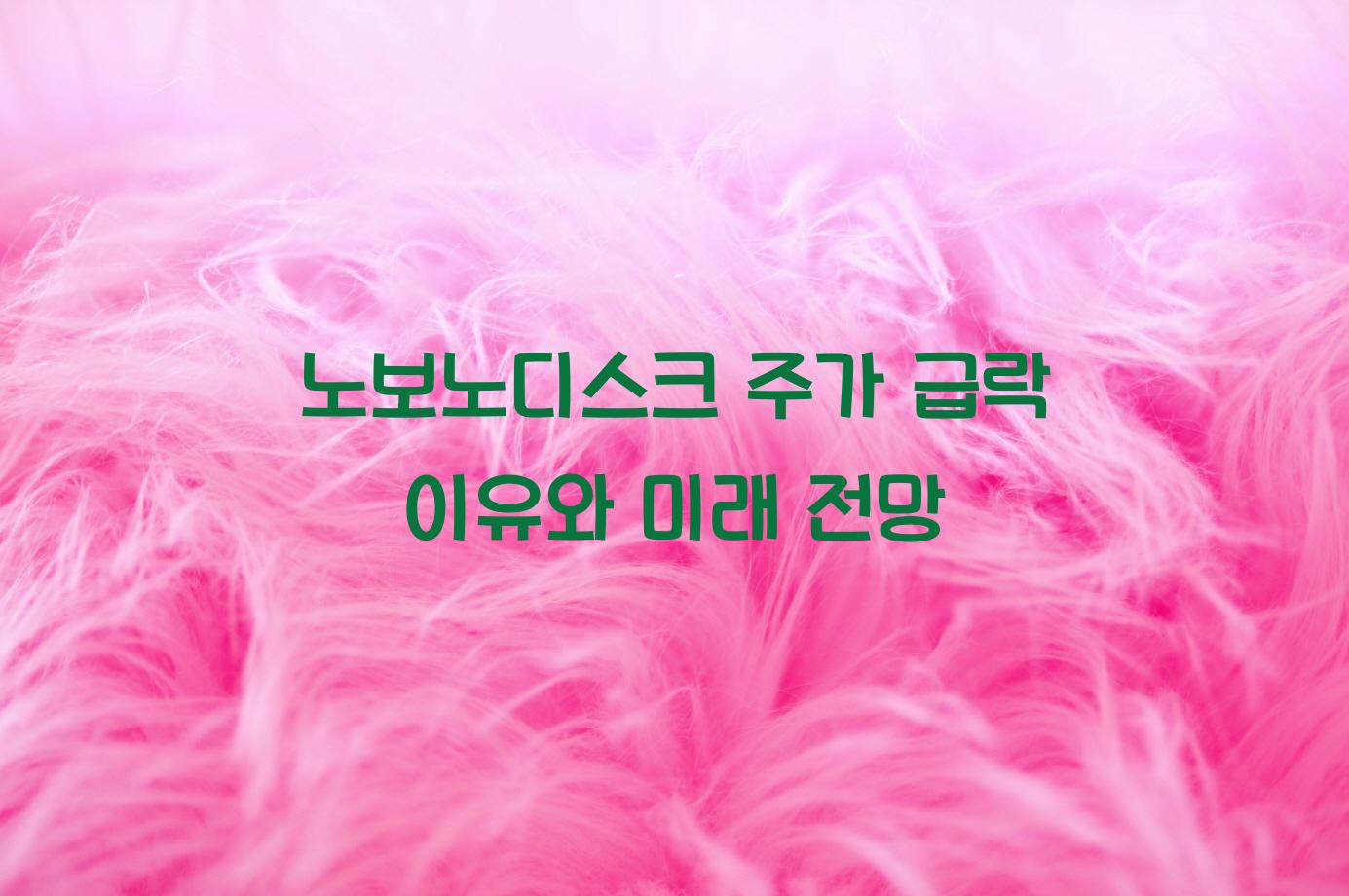 노보노디스크