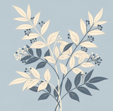 가시오가피 효능