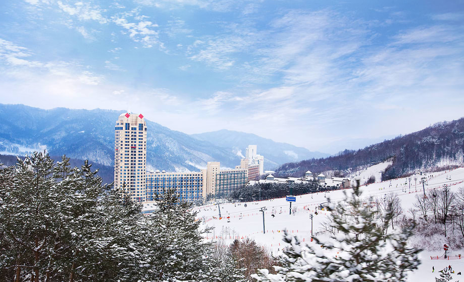 휘닉스 파크 관련 이미지