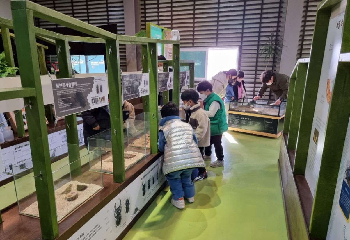 숲속의작은친구들