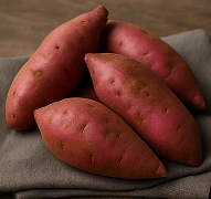 고구마 보관하는법