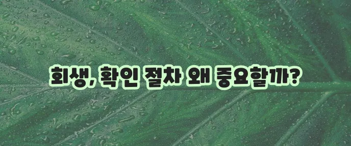 개인회생 신청 확인 절차 그 의미를 명확히 알아야 합니다