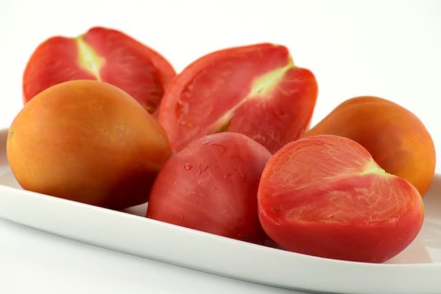 유기농 채식주의자들이 알아야 할 10가지 필수 영양소