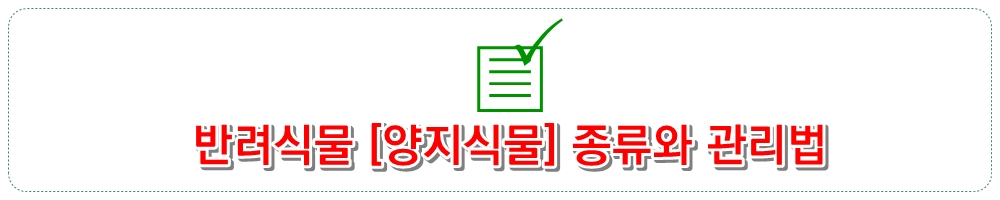 반려식물 [양지식물] 종류와 관리법