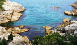 2024 강원도 해수욕장 개장일 추천 BEST 7