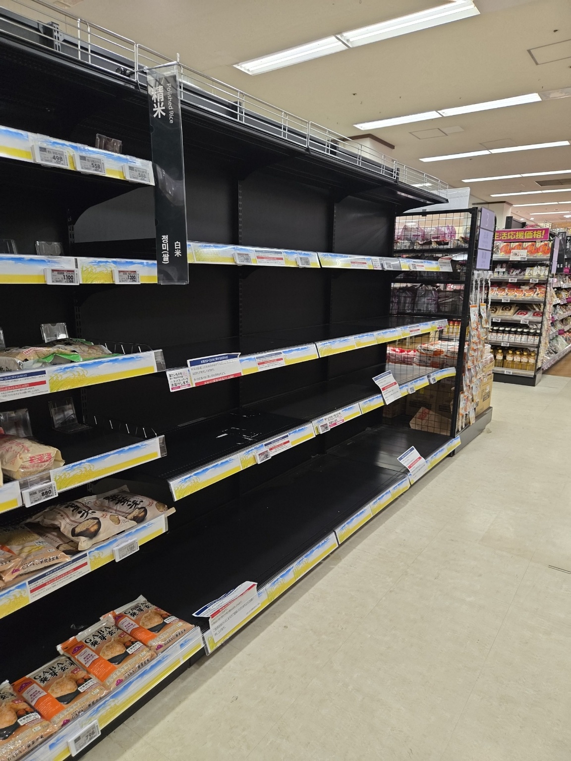 2025년 일본 쌀 파동