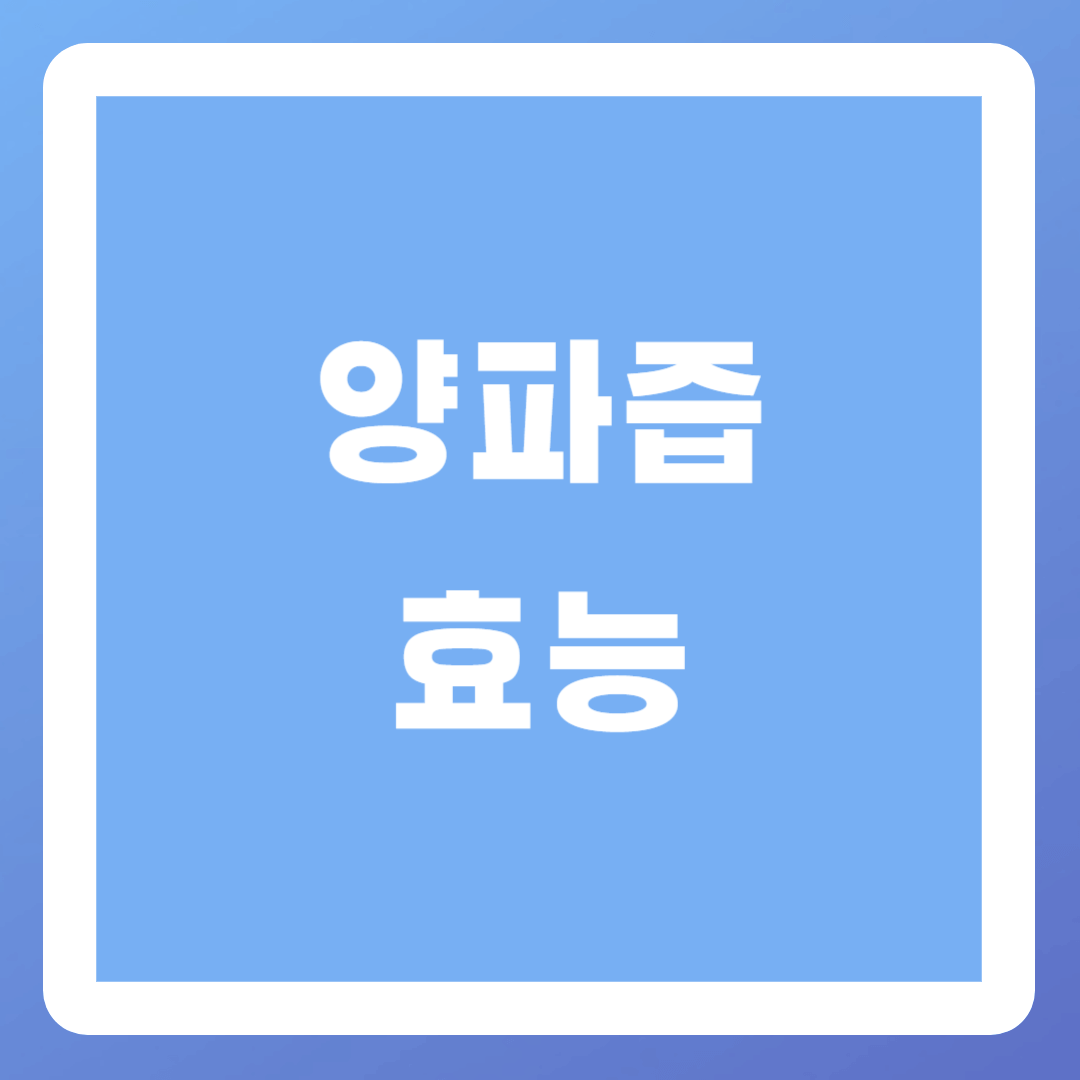 양파즙-효능