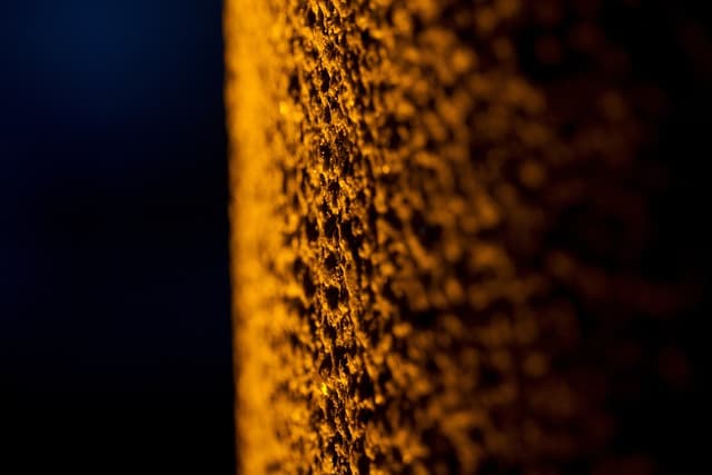 감각과 언어의 표현: '촉감'과 'Texture'의 어원 비교