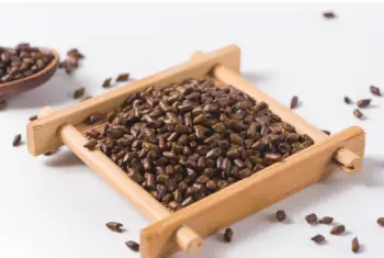 결명자차 효능과 영양성분, 주의점