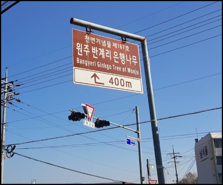 반계리 은행나무 가는 길