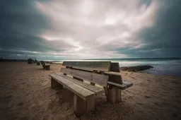 2025 여름 해수욕장 개장 일정 반려견 허용 해변