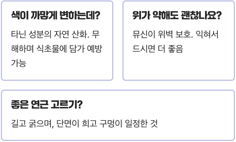 혈관 청소부, 혈압과 콜레스테롤 관리를 위한 연근효능