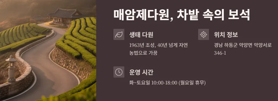 매암제다원 숨겨진 보석