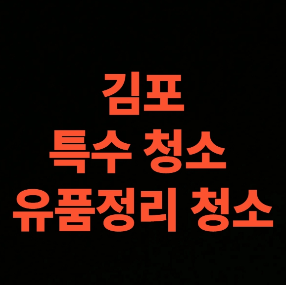 김포 유품정리 업체 선택 시 주의사항, 쓰레기집 청소 비용 총정리 후기