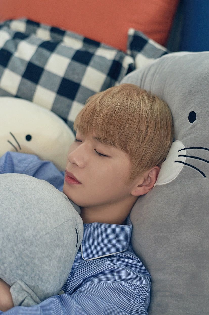 강다니엘 / 워너원