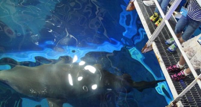 2024년 후쿠오카 여행 코스 추천 시내 시외 쇼핑 여행 코스