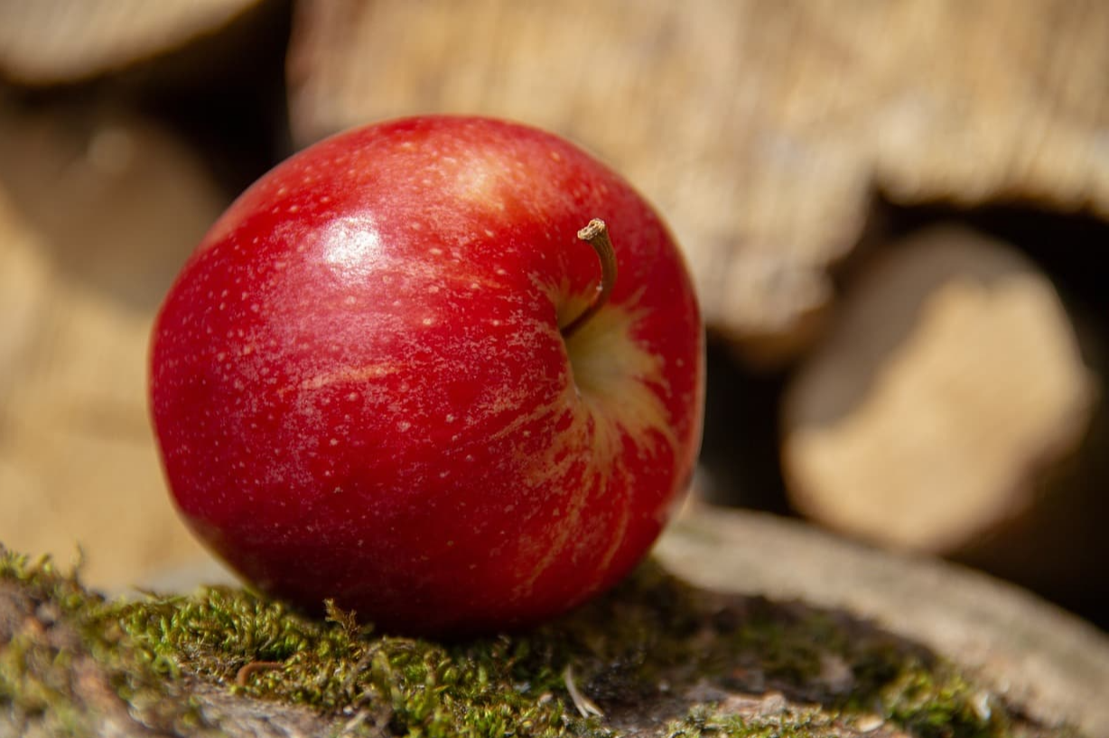 결정론과 카오스 이론의 차이