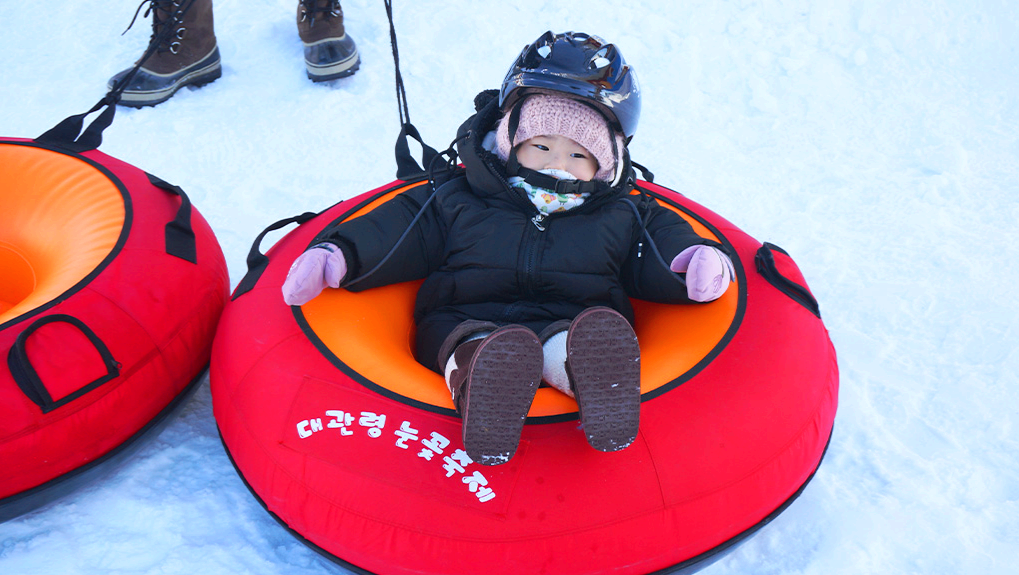 대관령 눈꽃축제