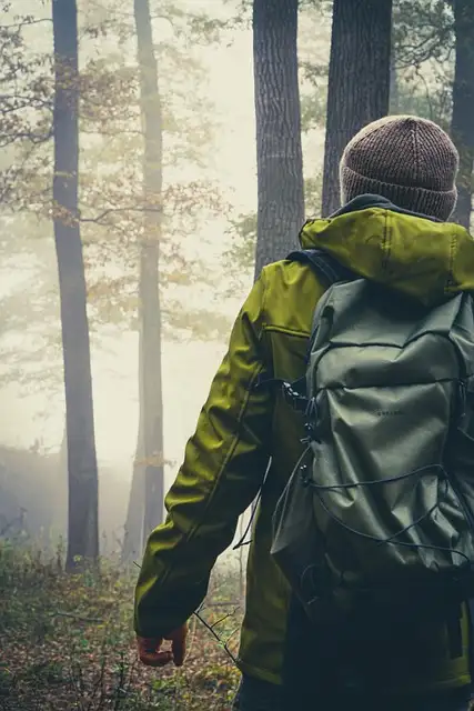 T렉스 하이레벨 4단 두랄루민 등산스틱 T자형 (31% 싸게 사는 방법 공개)