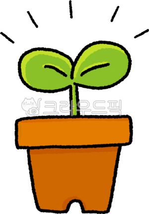 변화는 큰 결심이 아니라 작은 시작에서 온다