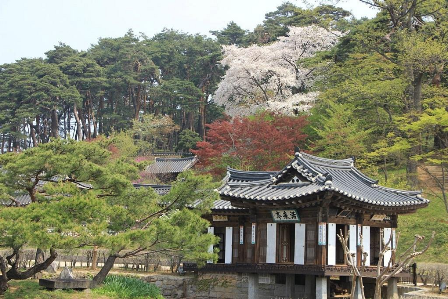 강릉 가볼만한 곳
