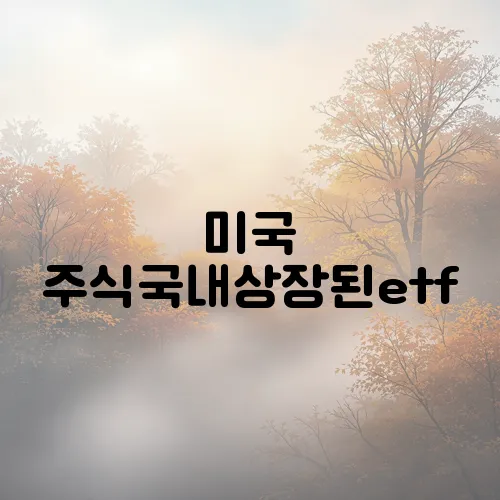 미국 주식국내상장된etf