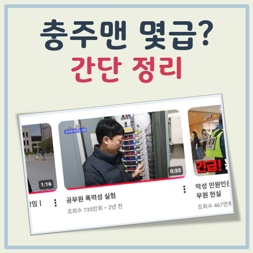 충주맨 급수 대표 이미지