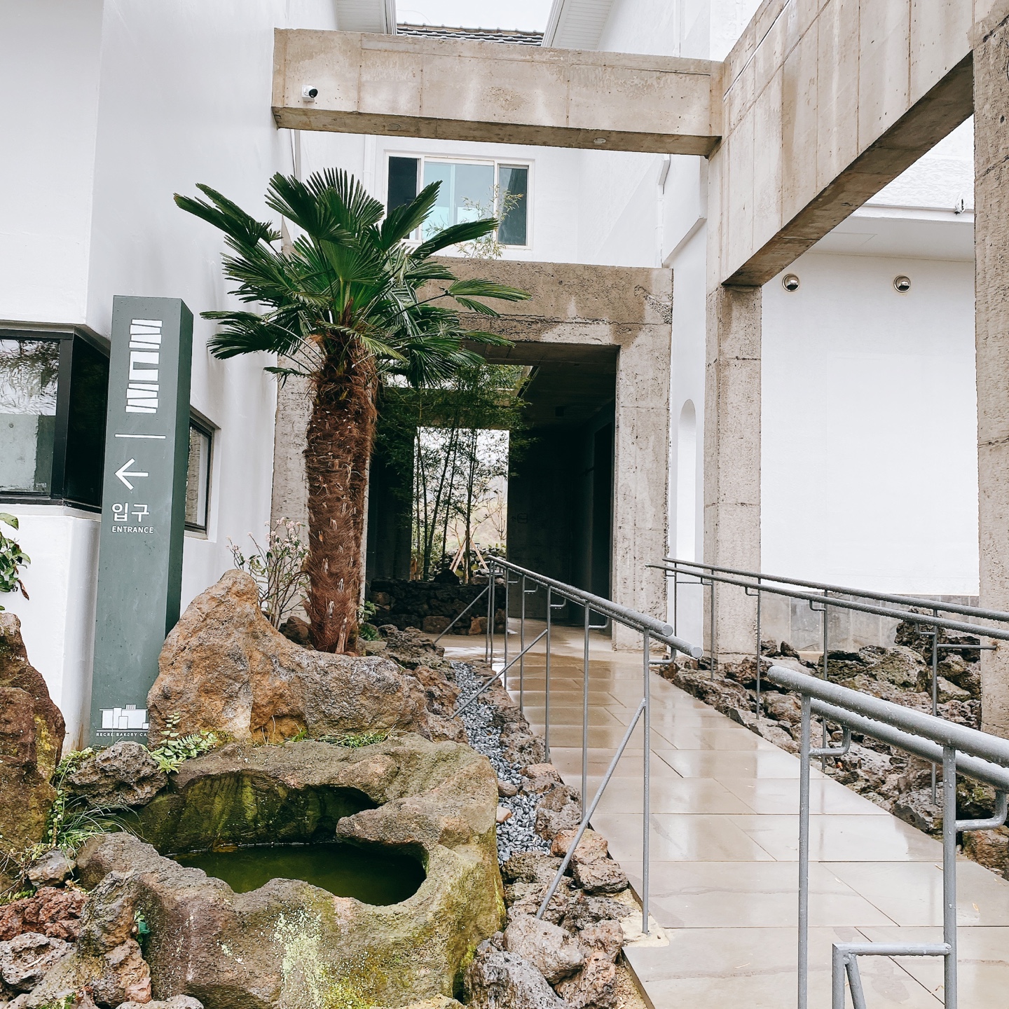 제주 신비마을 도깨비도로 벚꽃명소 레크레 카페