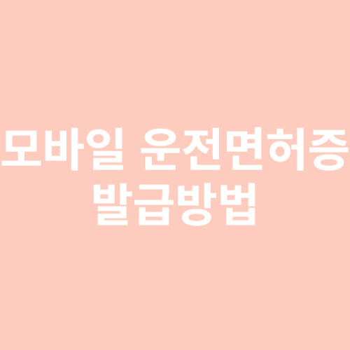 모바일 운전면허증