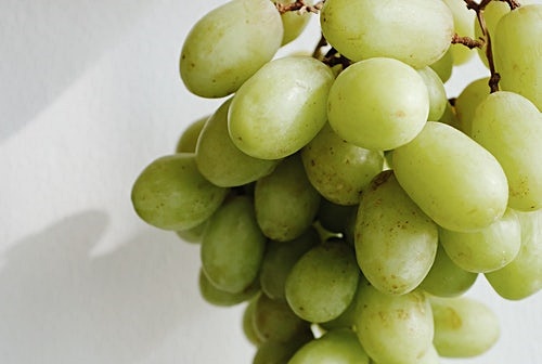 1. 영양소 비타민c 및 k