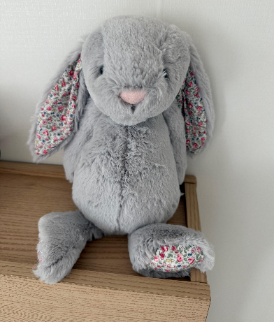 젤리캣 전체 모습 사진