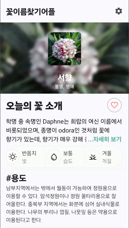 꽃 이름 찾기 어플, 핸드폰으로 꽃을 찍어 AI가 사진으로 꽃 이름 식별