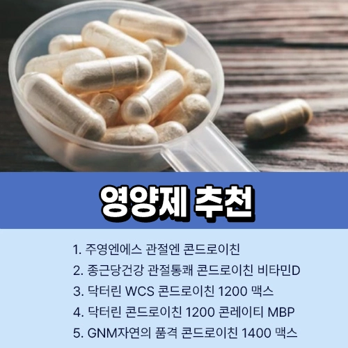 콘드로이틴