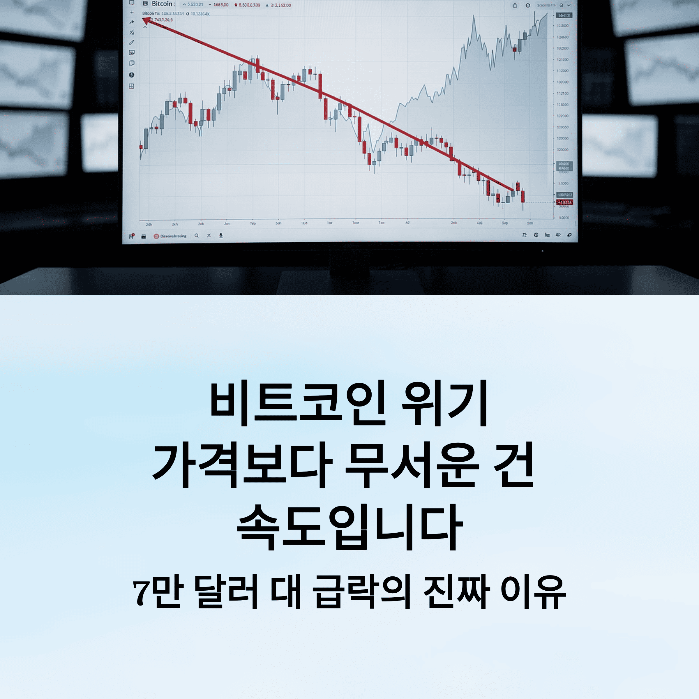 비트코인 위기 분석