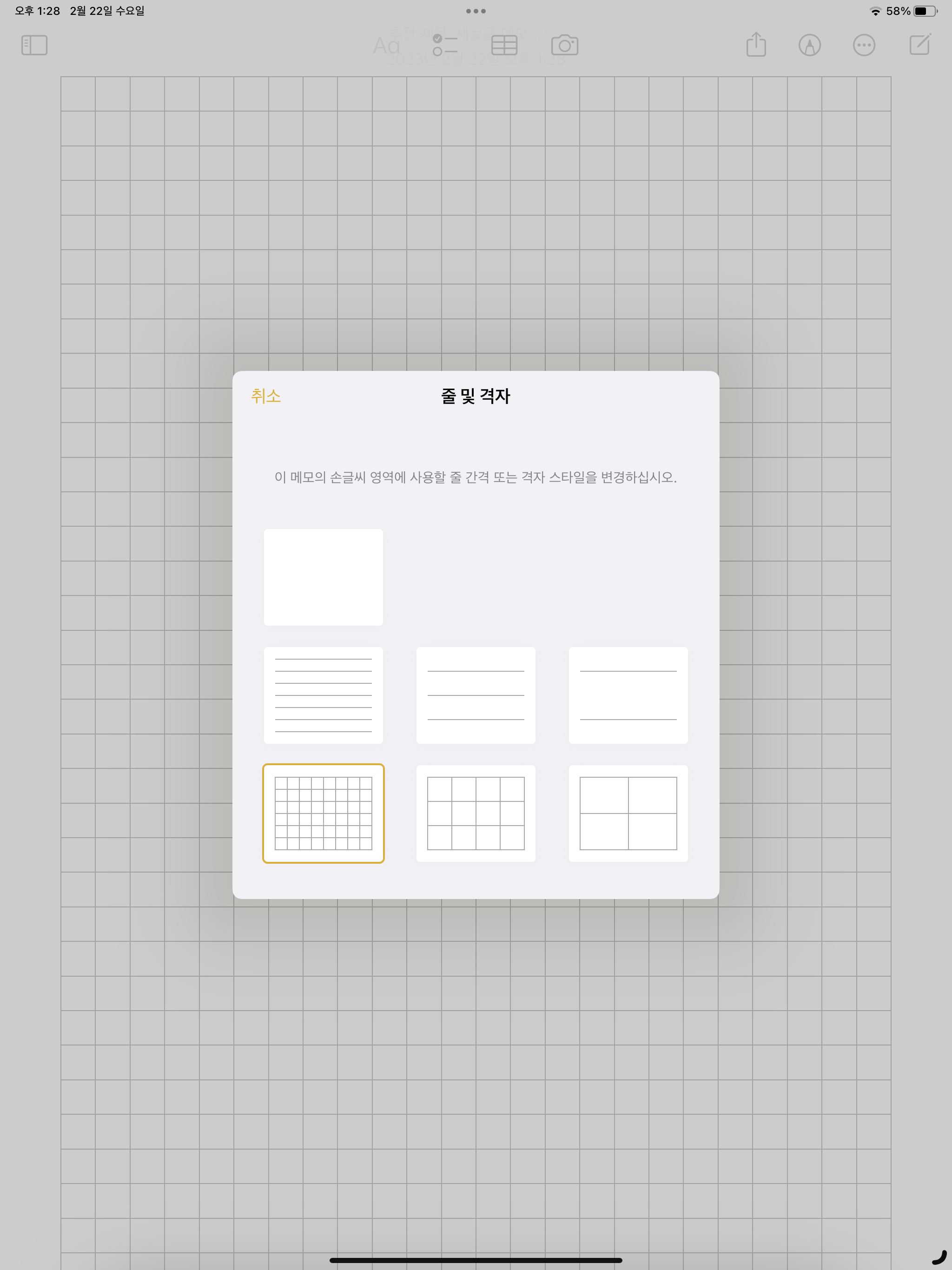 아이패드 줄 및 격자 보기