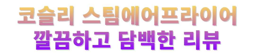 코슬리 스팀 에어프라이어 사용 후기