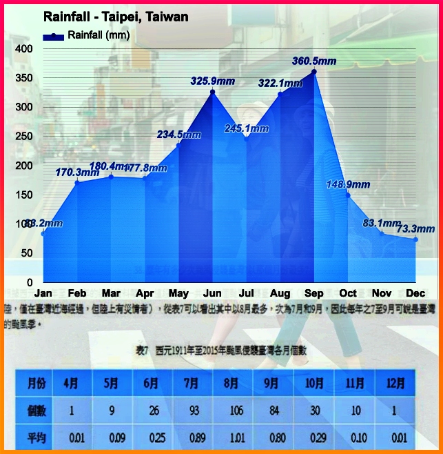 타이베이 비 태풍 주기