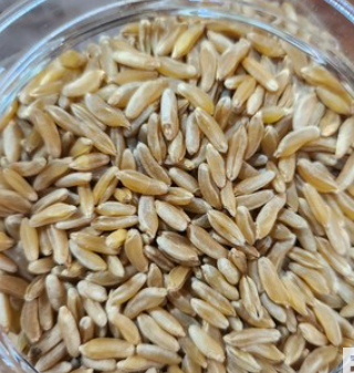 카무트_효능_부작용