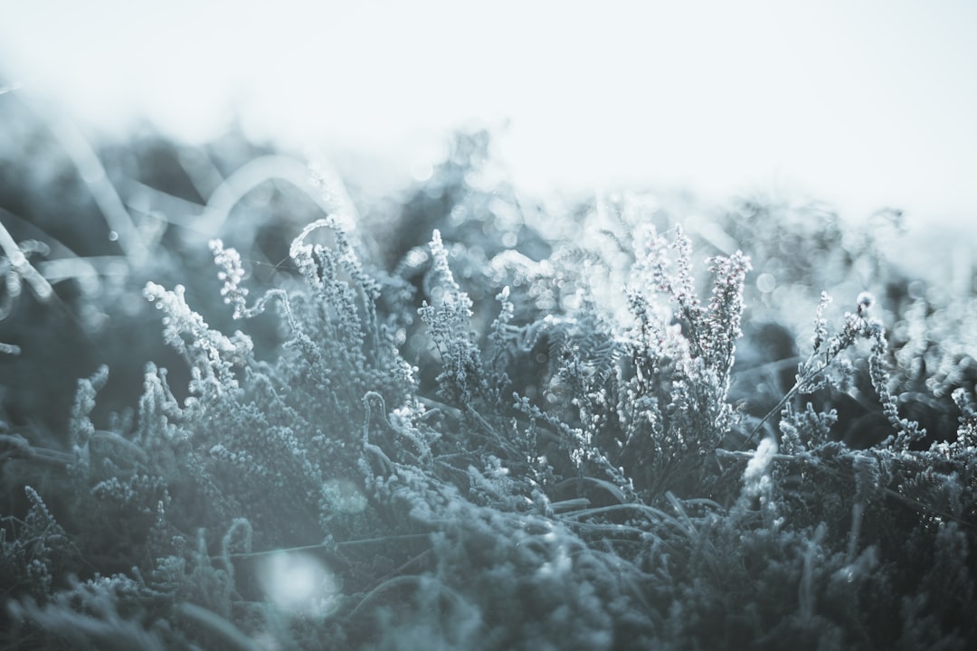 Cold.