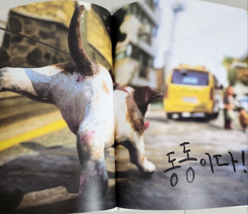 나는 개다