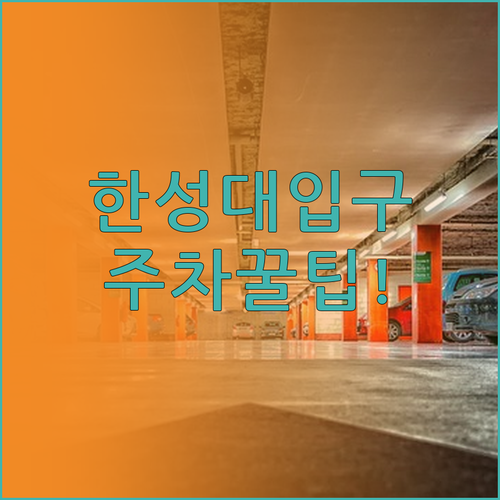 한성대입구역 인근 민영 주차장 위치 ..